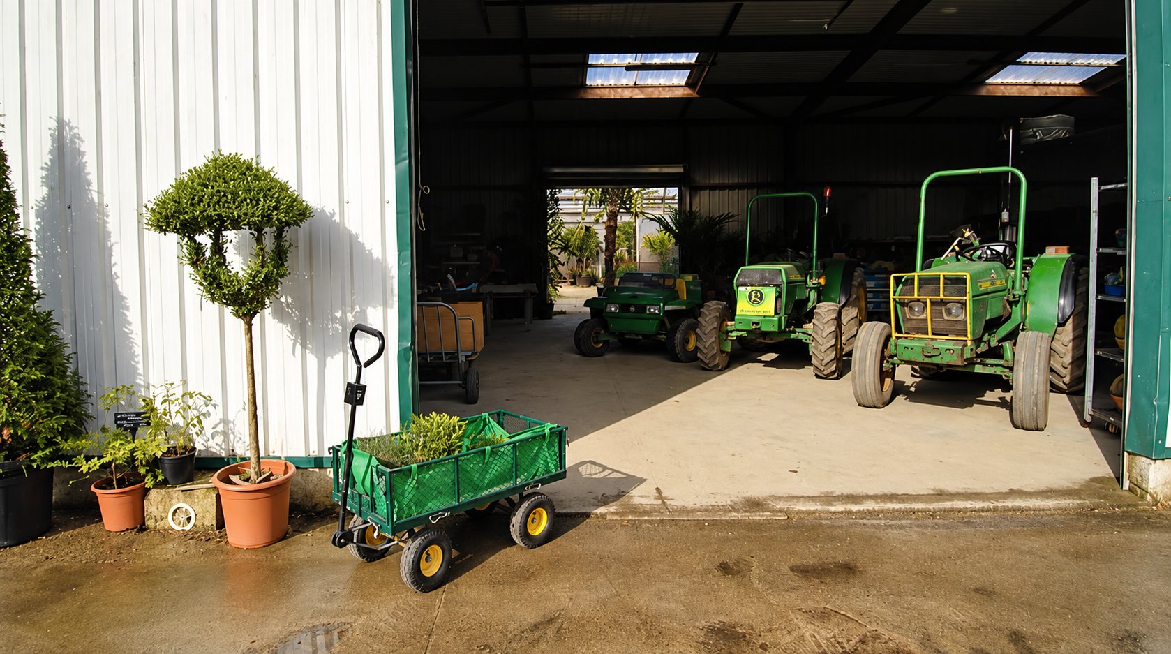 Devant un hangar ouvert abritant plusieurs tracteurs verts, un chariot de jardin contenant des plantes et un arbre taillé en pot de terre cuite sont posés sur le sol.