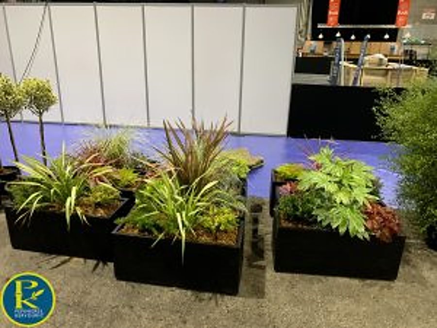 Plusieurs grands bacs noirs remplis de plantes vertes et rougeâtres sont disposés sur un sol bleu devant des panneaux blancs, dans un espace d'exposition.