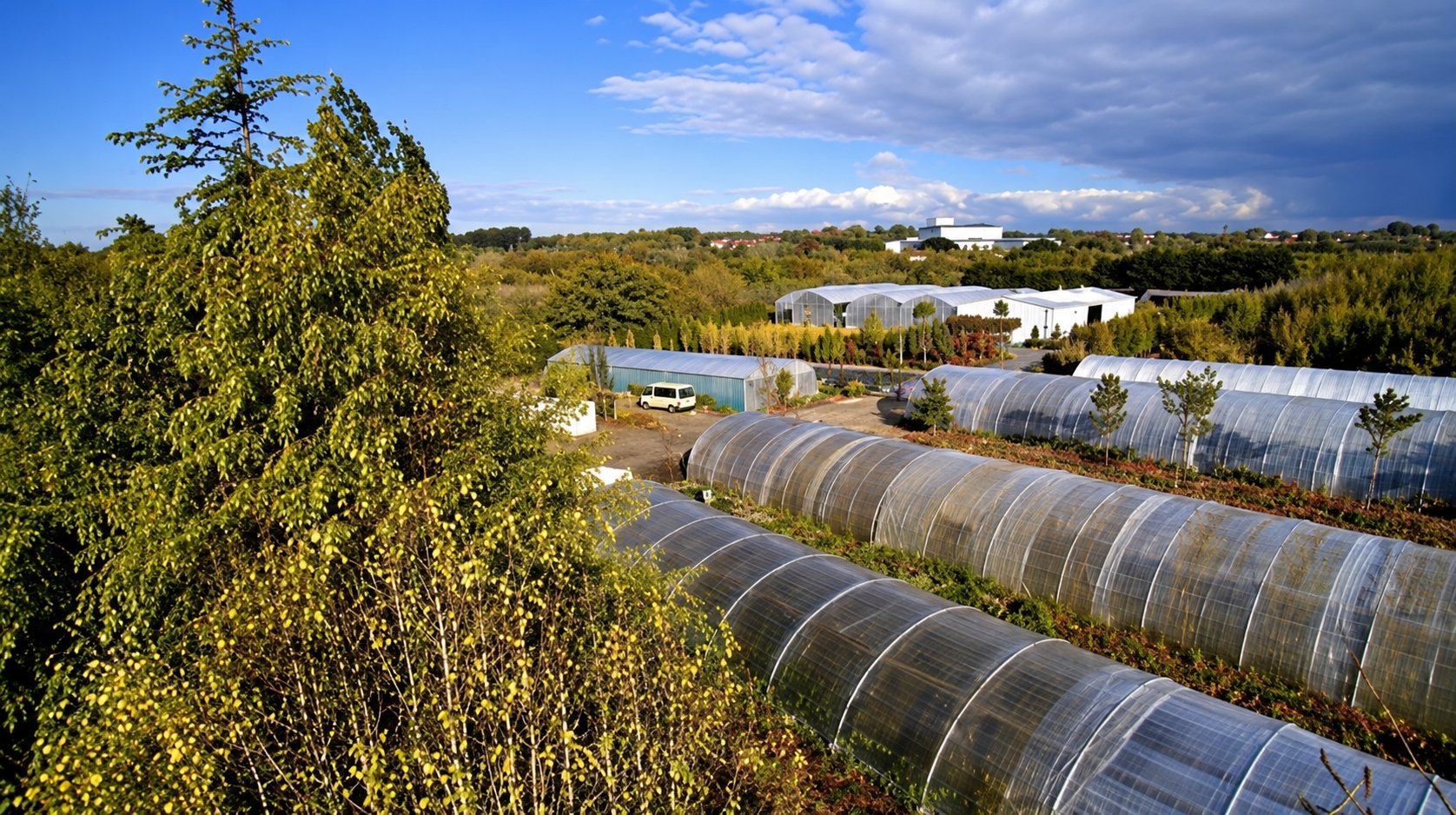 Vue en hauteur de plusieurs serres tunnels en plastique entourées de végétation et de champs sous un ciel bleu partiellement nuageux.