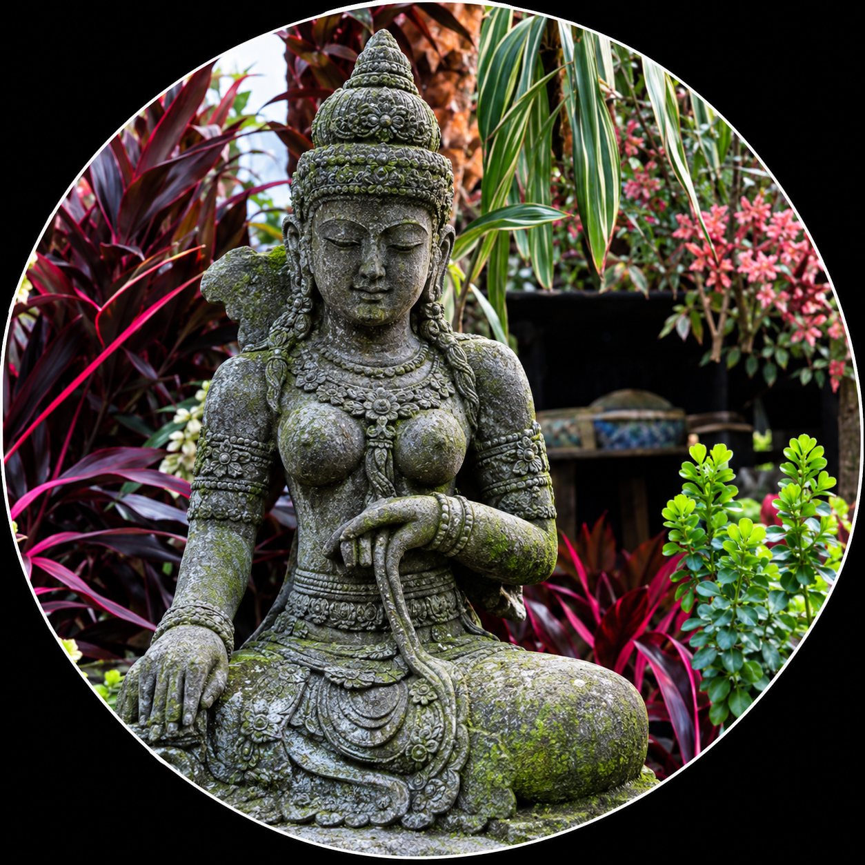 Statue de bouddha en pierre entourée de plantes