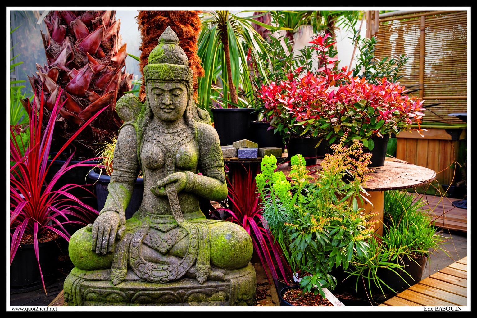 Une statue en pierre couverte de mousse, représentant une divinité assise, est entourée de plantes aux feuillages rouges, verts et pourpres dans un jardin aménagé.