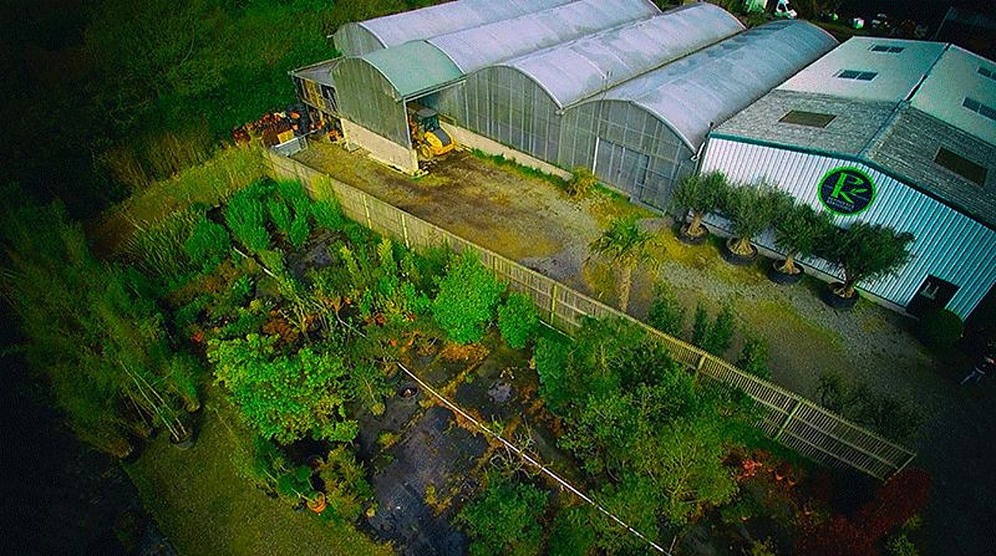 Vue aérienne d'une pépinière avec de grandes serres, un bâtiment à bardage métallique, des oliviers en pots et des plantations au premier plan.