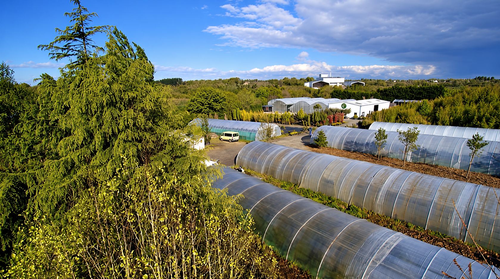 Vue aérienne des serres de la pépinière et des arbres en pots